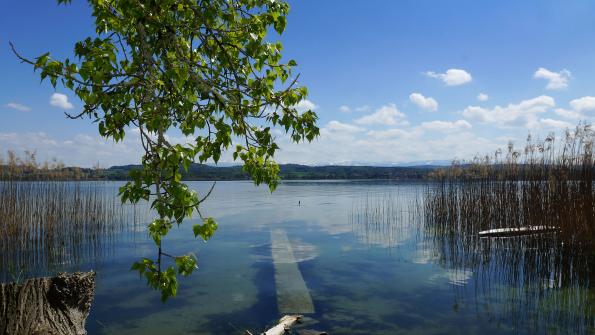 Murtensee