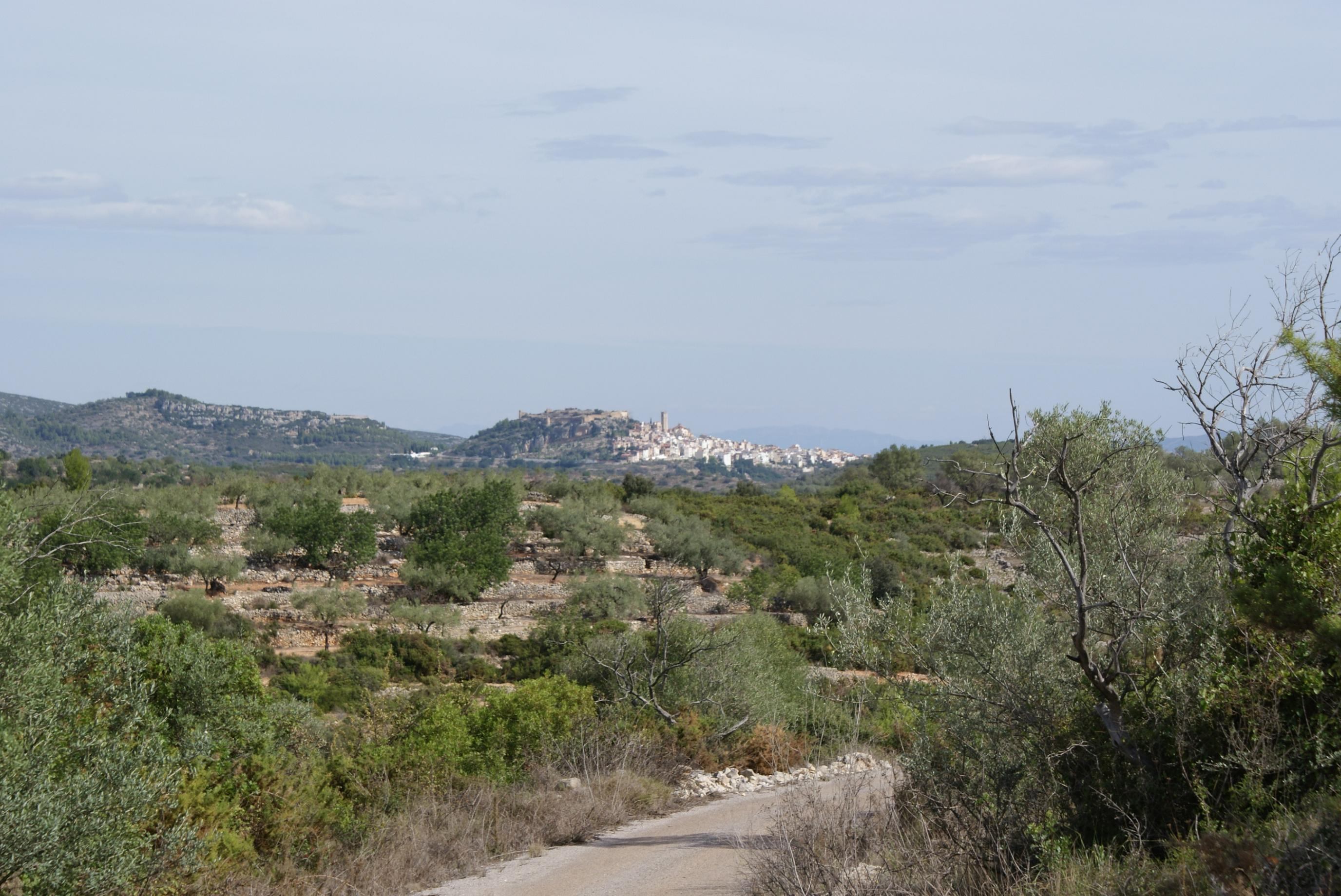 Cervera del Maestre 