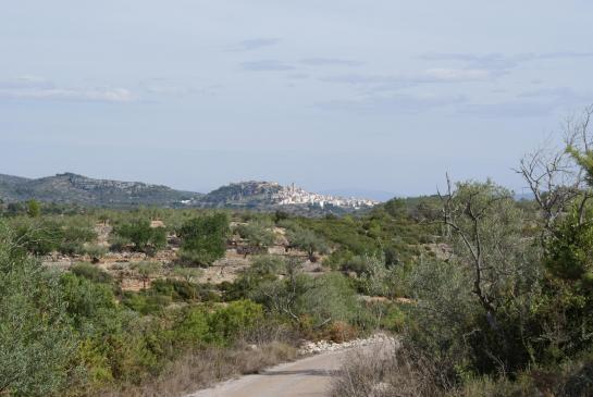 Cervera del Maestre 