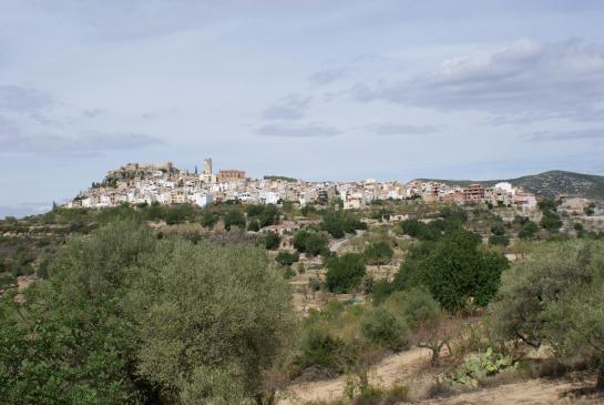 Cervera del Maestre 