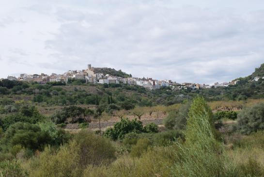 Cervera del Maestre 