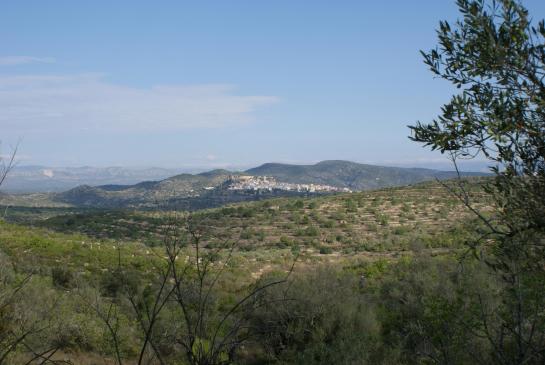 Cervera del Maestre 