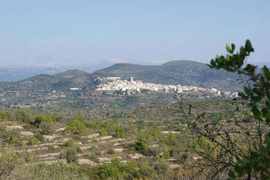 Cervera del Maestre 