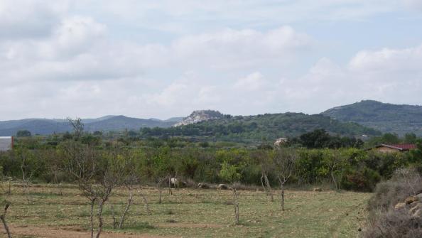 Cervera del Maestre 