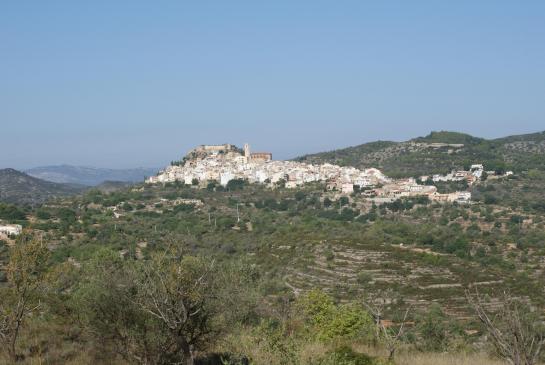 Cervera del Maestre 