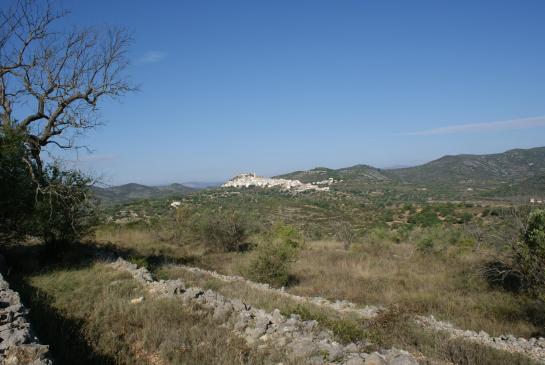 Cervera del Maestre 