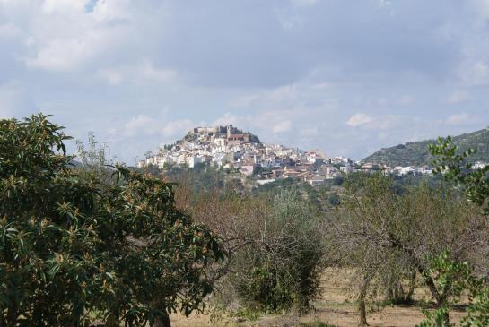 Cervera del Maestre 