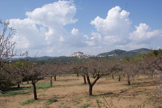 Cervera del Maestre 