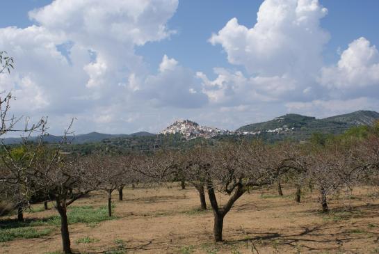 Cervera del Maestre 