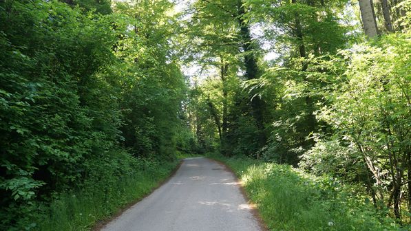 Radwanderung Bösingen