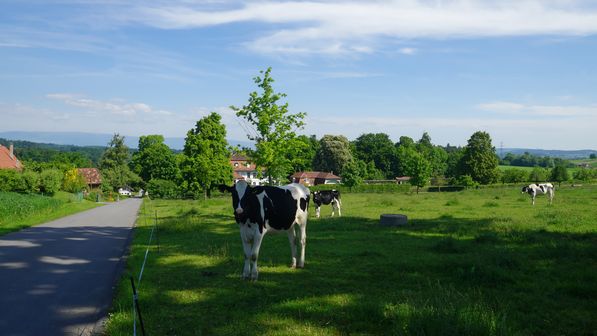 Radwanderung Vogelshus