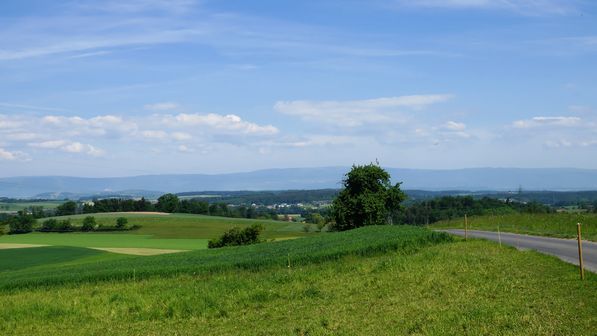 Radwanderung Bösingen
