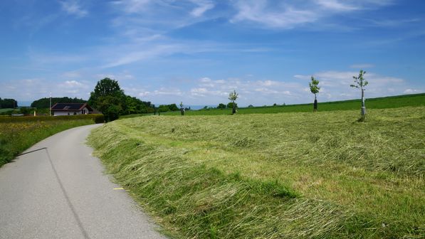 Radwanderung Bösingen