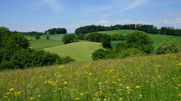 Radwanderung Bösingen