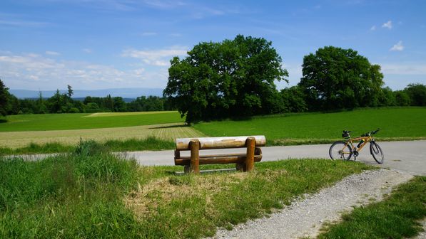Radwanderung Ochsenriedstrasse Schmitten