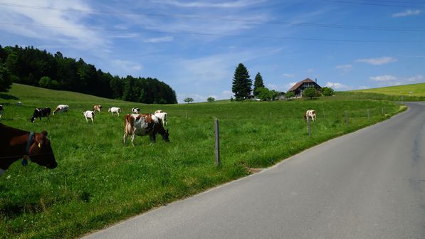 Radwanderung Staffels 