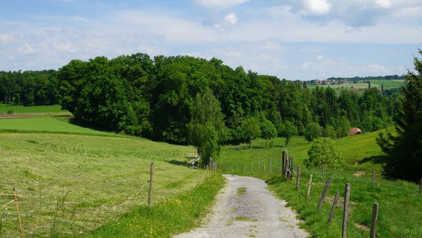 Radwanderung Oeli Bösingen
