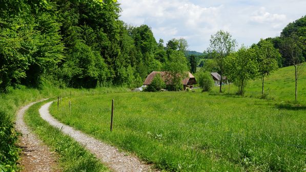 Radwanderung Oeli Bösingen