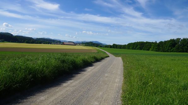 Mit dem Fahrrad nach Schwarzsee