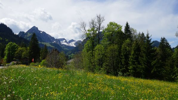 Mit dem Fahrrad nach Schwarzsee