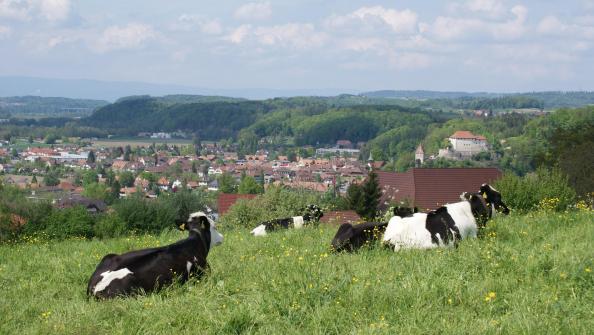 Bösingen Schweiz