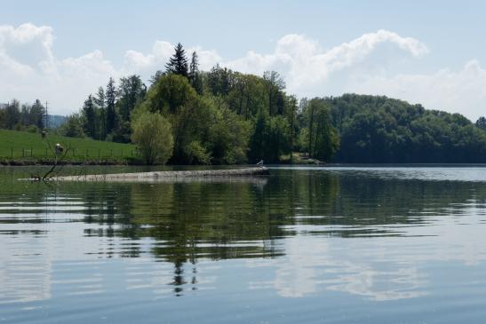 Auf dem Schiffenensee