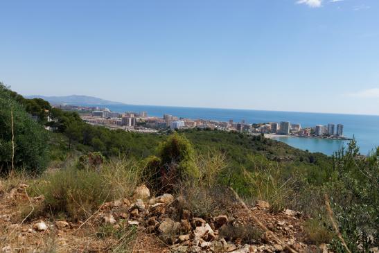 Oropesa del Mar Spanien