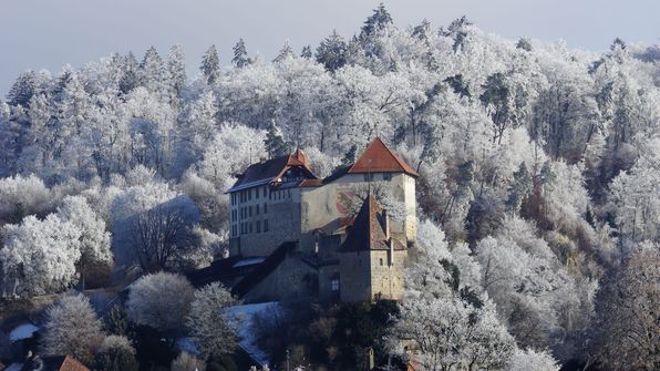 Schloss Laupen 31.12.2024
