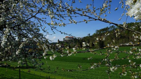 Schloss Laupen