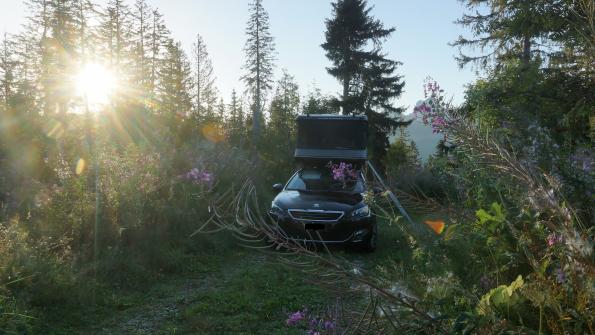 Peugeot 308 SW mit dem JAMES BAROUD Hartschalendachzelt