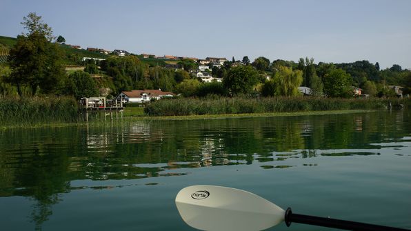 Mit dem Kayak auf dem ruhigen Murtensee