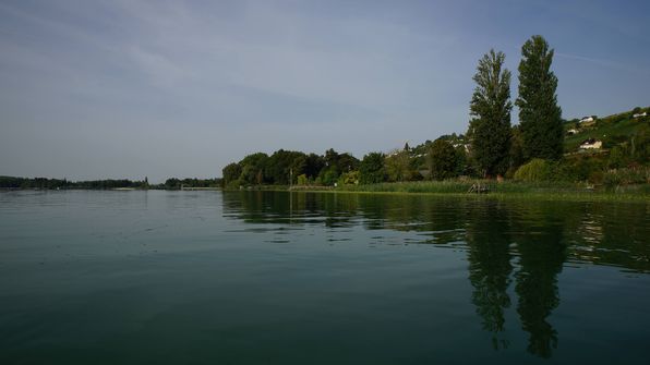 Mit dem Kayak auf dem ruhigen Murtensee