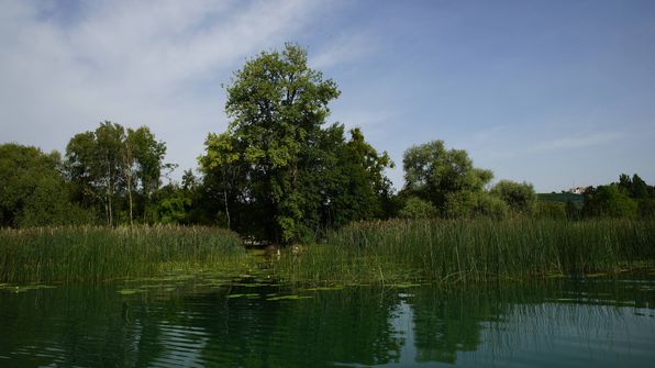 Mit dem Kayak auf dem ruhigen Murtensee