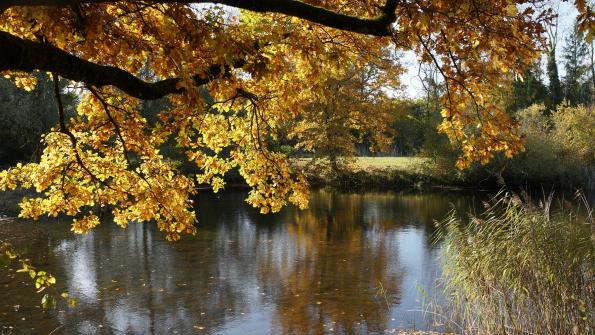 Naturschutzgebiet Auried Kleinbösingen