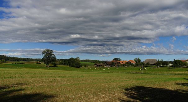 Schönenbüel  Kriechenwil