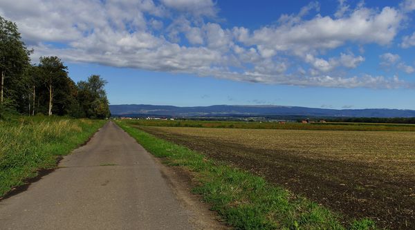 Fahrradweg neben dem Galmizkanal