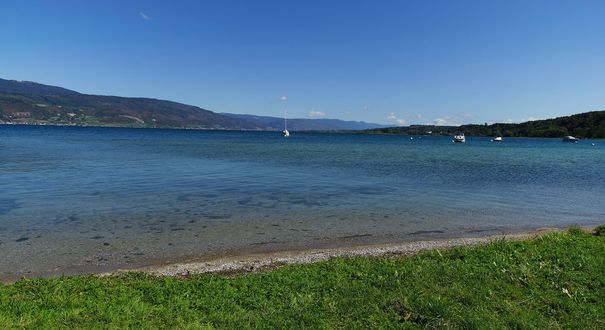 Lüscherz Hafen