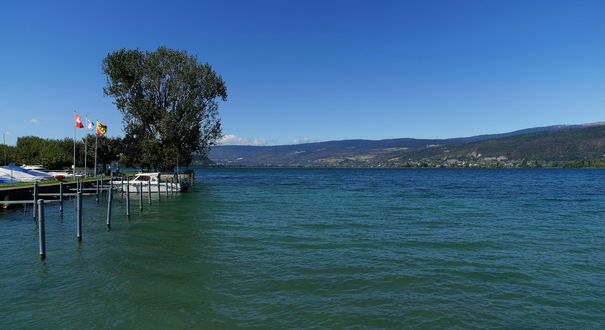 Lüscherz Hafen