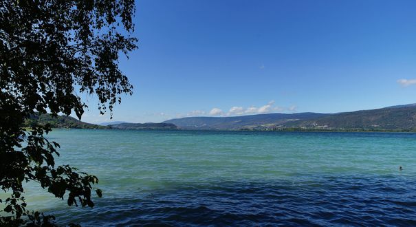 Lüscherz Hafen