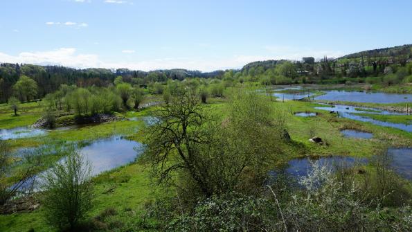 Naturschutzgebiet Auried Kleinbösingen