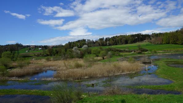 Naturschutzgebiet Auried Kleinbösingen