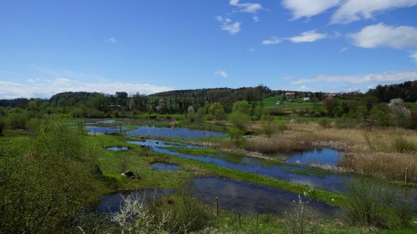 Naturschutzgebiet Auried Kleinbösingen