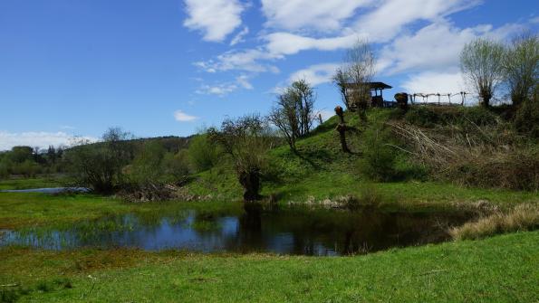 Naturschutzgebiet Auried Kleinbösingen