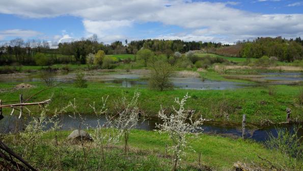 Naturschutzgebiet Auried Kleinbösingen