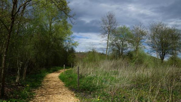 Naturschutzgebiet Auried Kleinbösingen