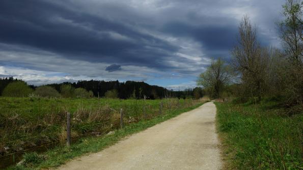 Naturschutzgebiet Auried Kleinbösingen