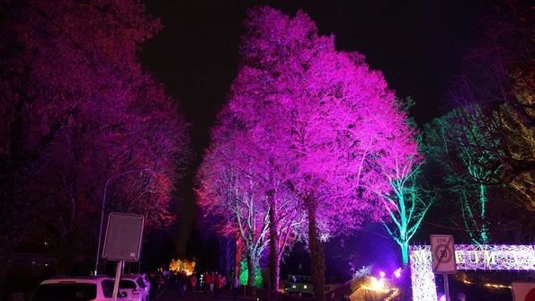 Murten Licht-Festival 2019