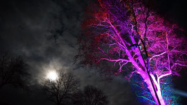 Murten Licht-Festival 2019