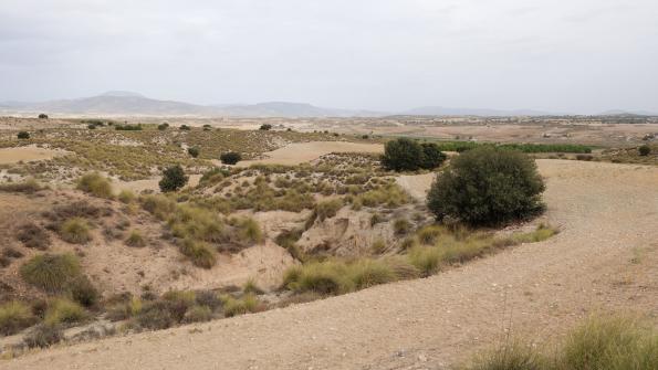  Vom Camping Sierra María Radtour