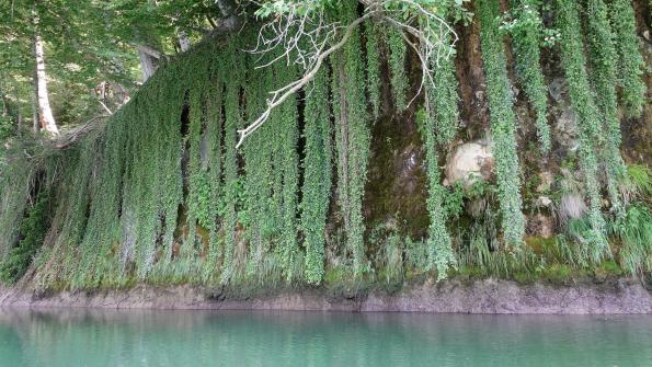 Auf dem Schiffenensee